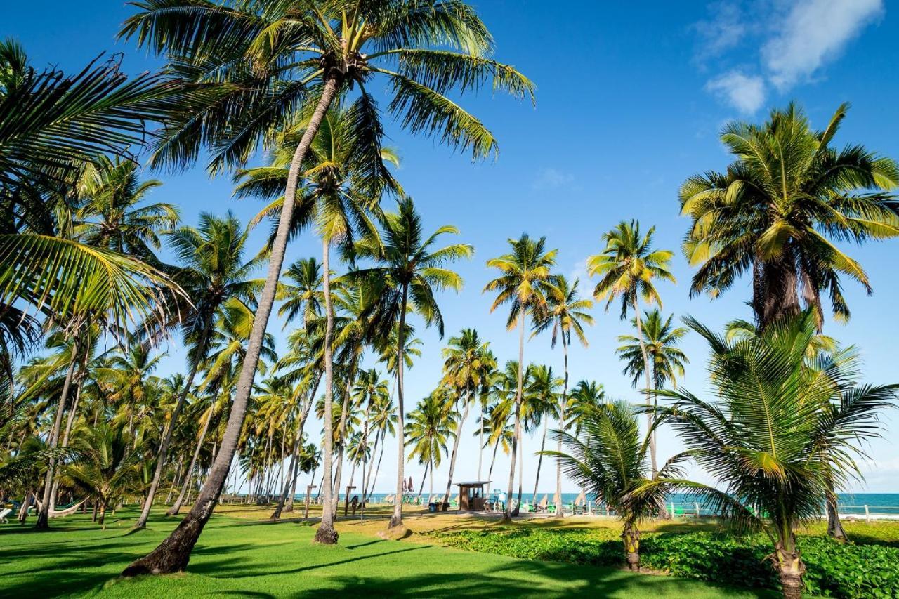 Paraiso Na Terra - Carneiros Beach Resort Tamandaré エクステリア 写真